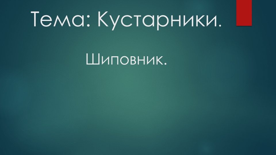 Природные сообщества. Кустарники леса. Шиповник Учебники, Презентации и Подготовка к Экзаменам для Школьников на Klass-Uchebnik.com