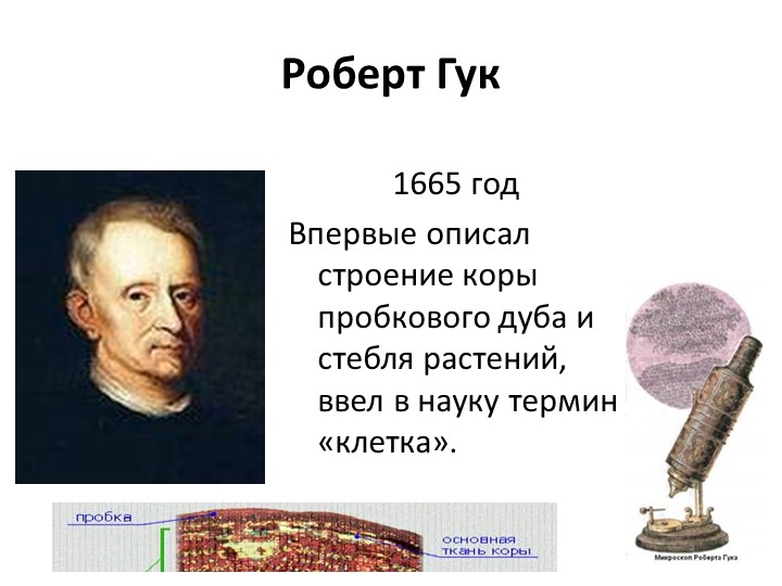 Презентация по биологии 5 кл "Строение клетки" Учебники, Презентации и Подготовка к Экзаменам для Школьников на Klass-Uchebnik.com