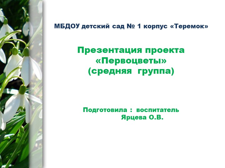 Презентация "Проект "Первоцветы в средней группе"(для дошкольников) Учебники, Презентации и Подготовка к Экзаменам для Школьников на Klass-Uchebnik.com