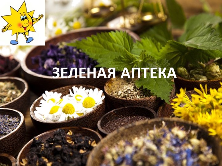 Презентация по окружающему миру на тему "Зелёная аптека" Учебники, Презентации и Подготовка к Экзаменам для Школьников на Klass-Uchebnik.com