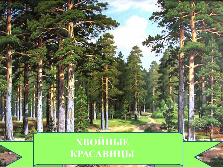 Презентация по окружающему миру "Хвойные красавицы" для дошкольников Учебники, Презентации и Подготовка к Экзаменам для Школьников на Klass-Uchebnik.com