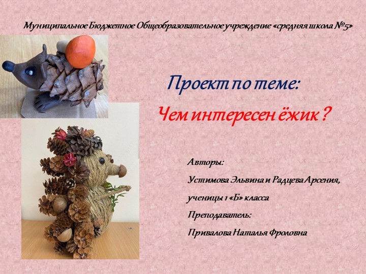 Презентация проекта "Чем интересен ёжик" Учебники, Презентации и Подготовка к Экзаменам для Школьников на Klass-Uchebnik.com