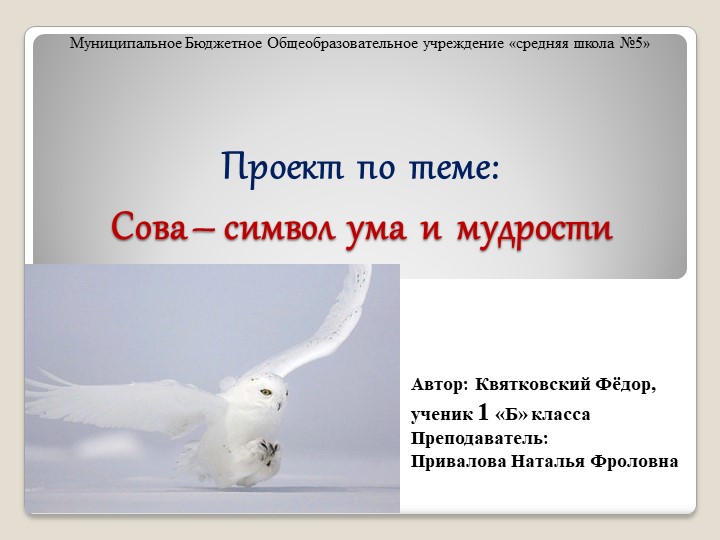 Презентация проекта "Сова - символ ума и мудрости" Учебники, Презентации и Подготовка к Экзаменам для Школьников на Klass-Uchebnik.com