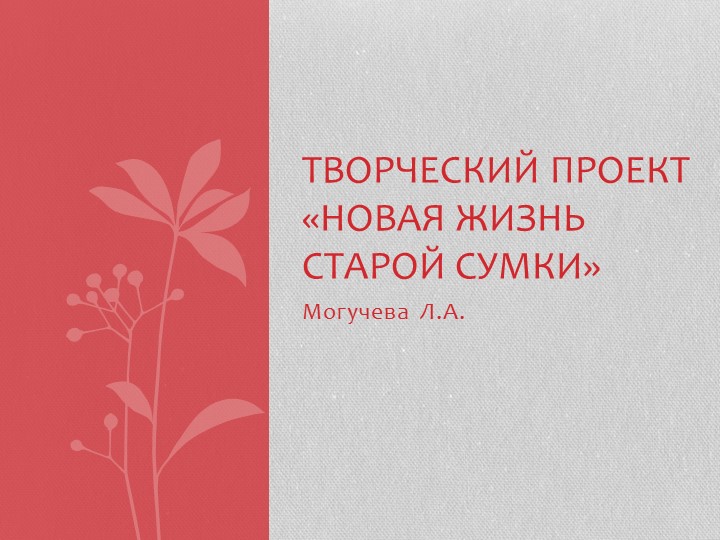 Презентация "Вторая жизнь сумки" Учебники, Презентации и Подготовка к Экзаменам для Школьников на Klass-Uchebnik.com