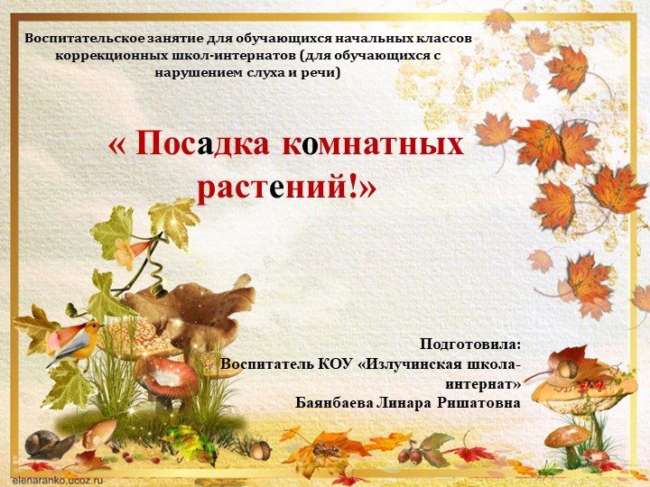 Презентация на тема: " Посадка комнатных растений" Учебники, Презентации и Подготовка к Экзаменам для Школьников на Klass-Uchebnik.com